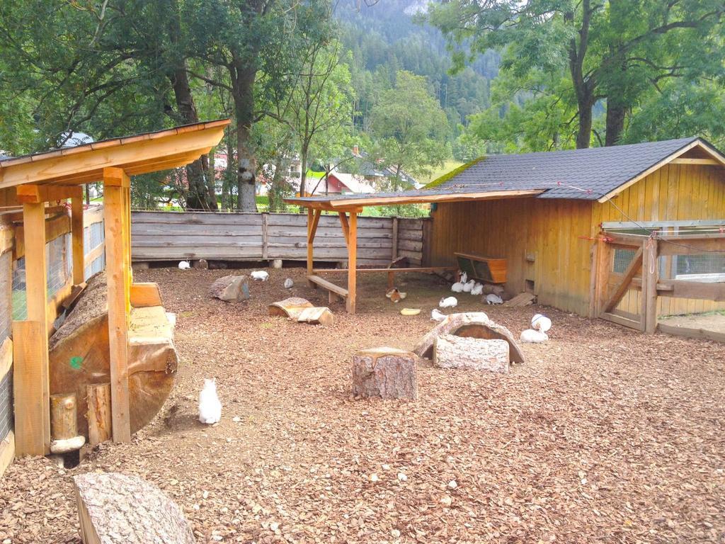 Kinderhotel Appelhof Мюрцстег Экстерьер фото