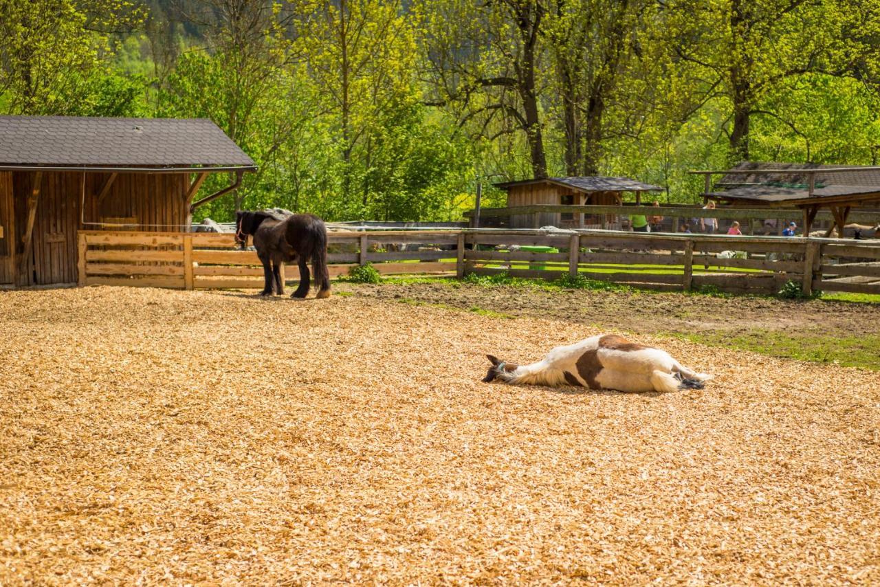 Kinderhotel Appelhof Мюрцстег Экстерьер фото